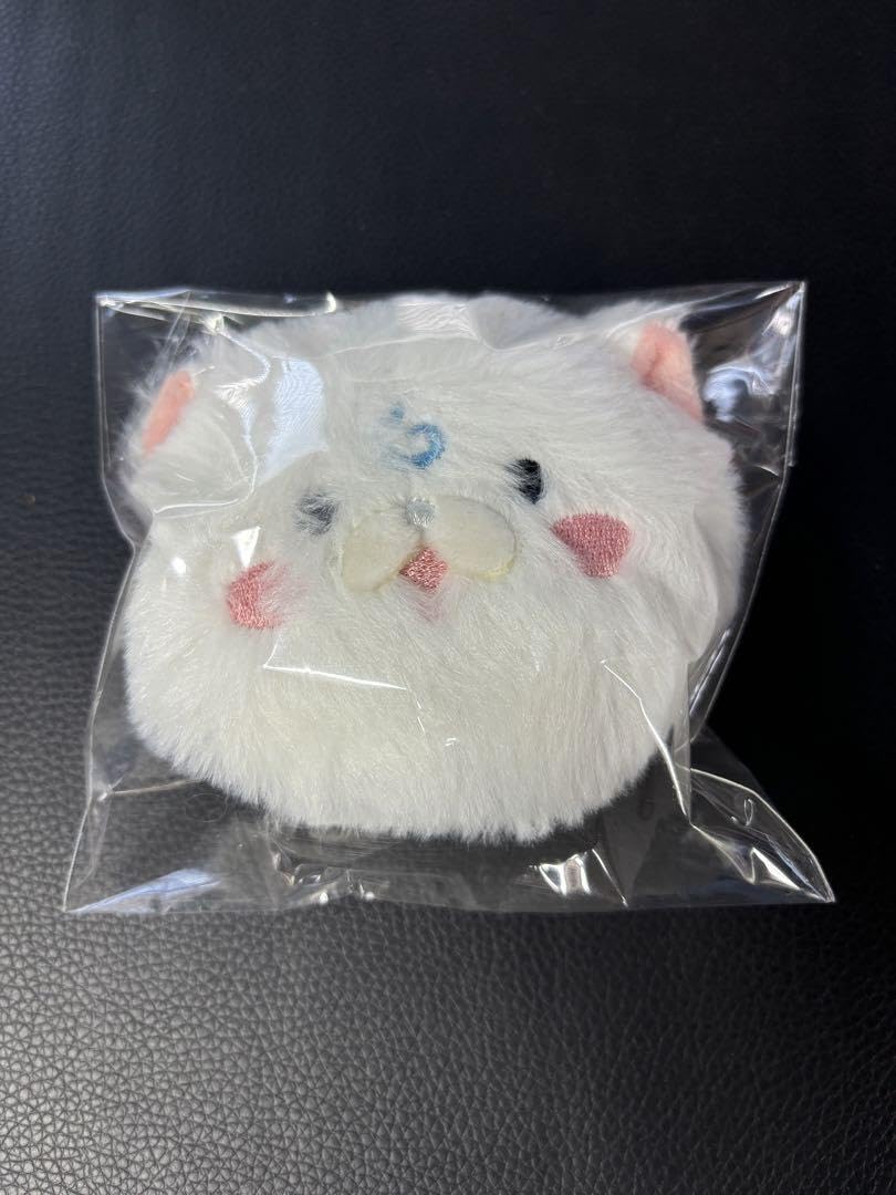 Amazon.co.jp: さくらみこ 誕生日記念2024 35Pふわふわ